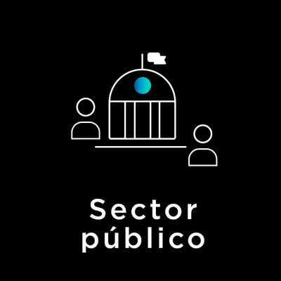 Sector publico